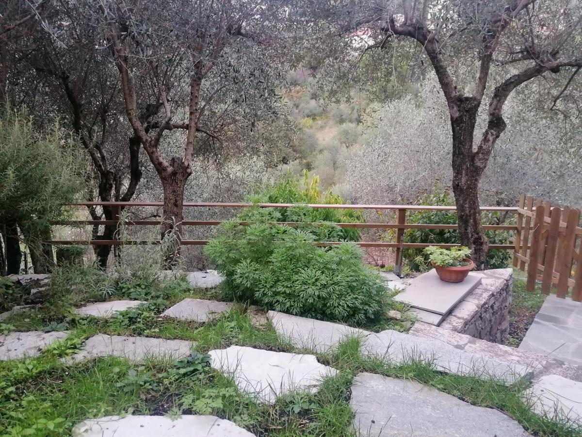 Nonna Paola Guest House Leivi ภายนอก รูปภาพ